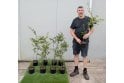 Blackthorn - 2 litre