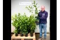 Cherry Laurel - 2 litre