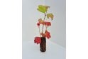 Guelder Rose - cell grown