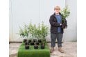 Hawthorn - 2 litre