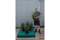 Hidcote Lavender - 5 litre