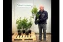 Holly - 2 litre