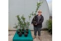 Hornbeam - 5 litre
