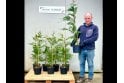 Leylandii - 5 litre