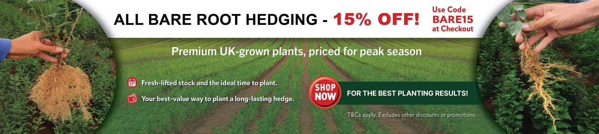 Bare roots 15% off (omits next day delivery)