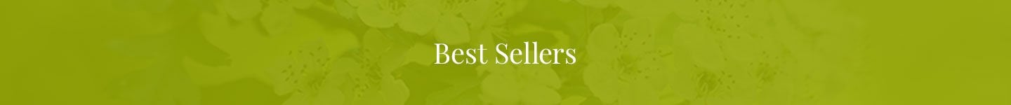 Best Sellers