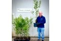 Privet - 5 litre