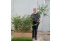 Wild Privet - 2 litre