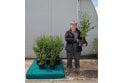 Wild Privet - 5 litre