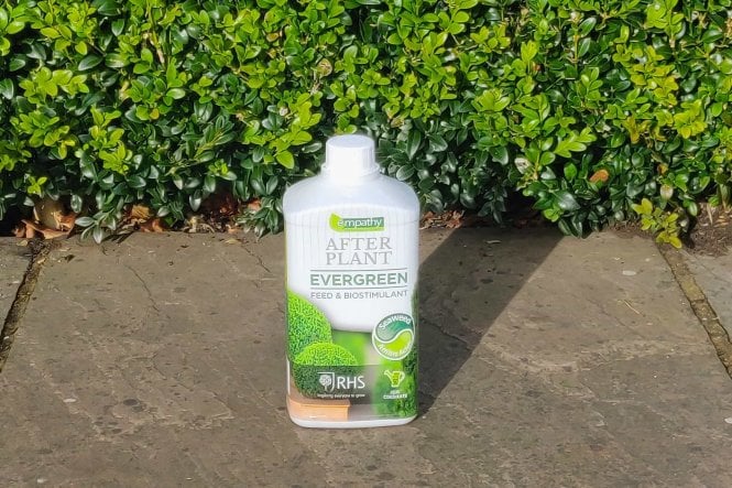 Afterplant - Evergreen 1litre