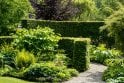 Hornbeam