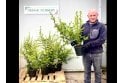 Pyracantha Red - 5 litre