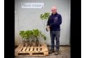 White Rosa Rugosa - 2 litre