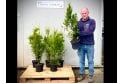 Western Red Cedar - 5 litre