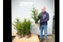 Yew - 5 litre